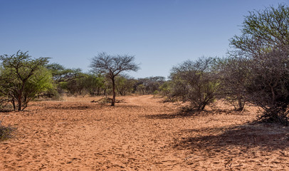 Fototapeta premium Northern Cape Landscape