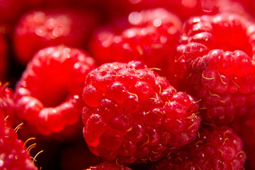 Fresh red ripe raspberries background, closeup, selective focus