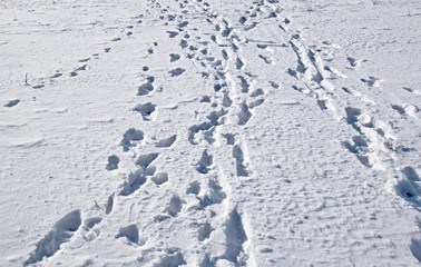 Snowy plain with traces of white snow