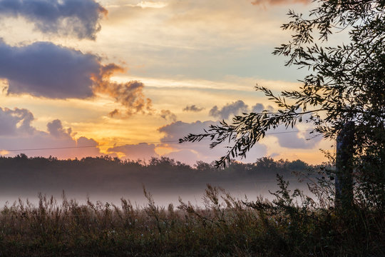Sonnenaufgang mit Nebelbildung auf einer Pferdekoppel