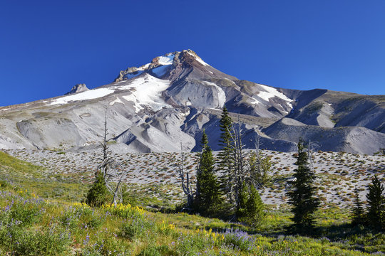 View Of Mount Hood, Oregon From The Timberline Trail