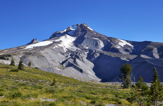 View Of The Mount Hood, Oregon Volcano From The Timberline Trail