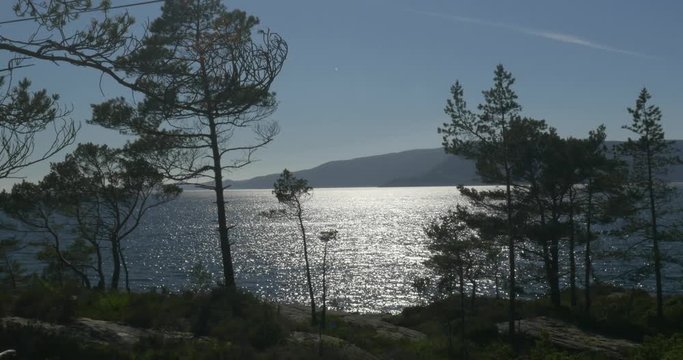 Coastline, Fjord At Losnegard, Norway