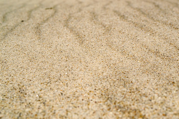 Fototapeta na wymiar Beige sand background. The sand texture.