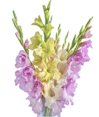 Romantic Bouquet of beautiful gladioluses flowers of pastel colors in vase isolated on a white - delicate floral background