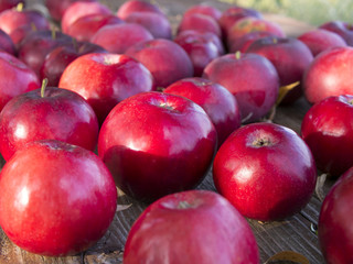 Fototapeta na wymiar Świeże czerwone jabłka.
