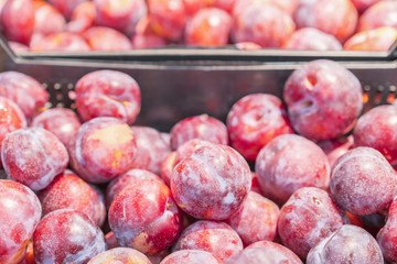 Ripe plums on the counter in the store. fresh red plums. On the counter of a vegetable store