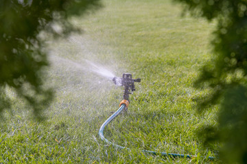Naklejka na ściany i meble Garden irrigation system watering lawn. watering the lawn in the hot summer