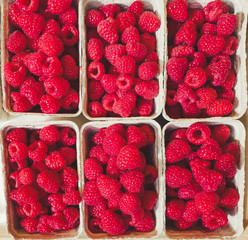 top down view on boxes of raspberries