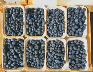 top down view on boxes of blueberries