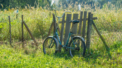 SONY DSC © Michal45