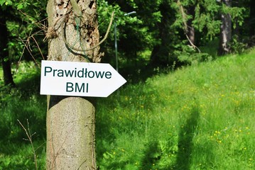 Prawidłowe BMI © bnorbert3