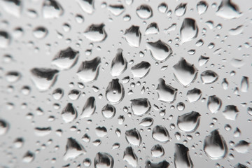 Drops of rain on the window