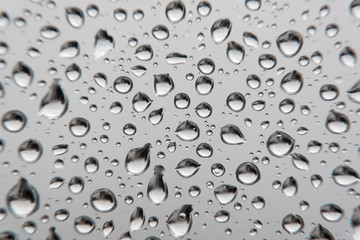 Drops of rain on the window