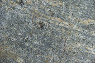 The bacground texture