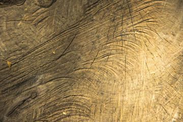 The bacground texture