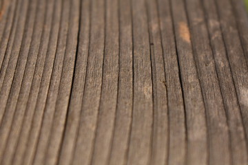 Fototapeta premium Vetas lineales de madera matura