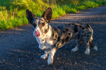 SONY DSC © Michal45