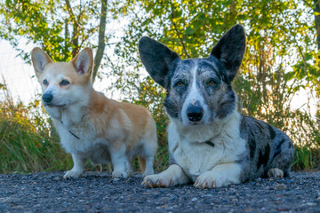 SONY DSC © Michal45