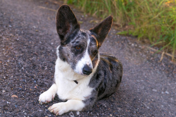 SONY DSC © Michal45