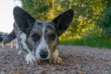 SONY DSC © Michal45