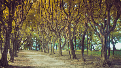 SONY DSC © Michal45