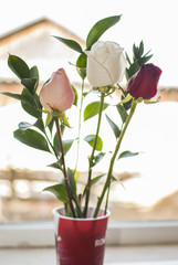 три разные розы