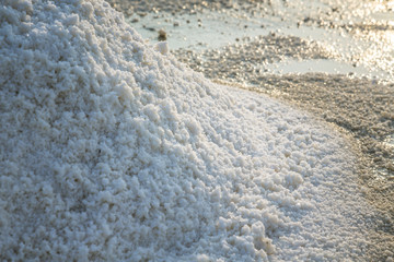 White salt field in sunny day.