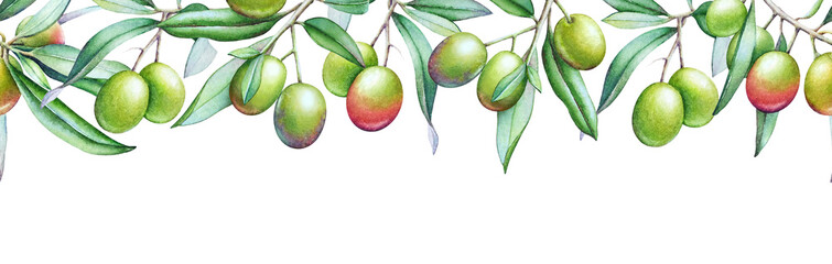 Naklejki  Poziomy wzór z gałęzi drzewa oliwnego akwarela watercolor