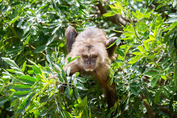 Morning Tour at Ramat Gan Safari Park