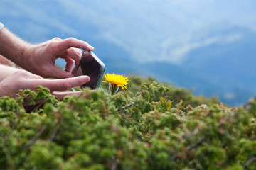 hiker taking pictures with a smartphone of a wild flower in the mountains