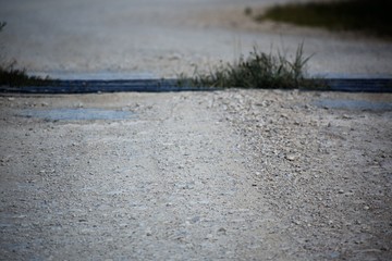 white rock road backdrop