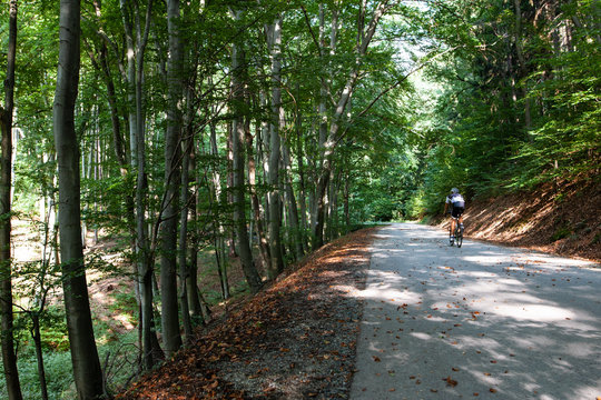 Road biker cycling and training on an asphalt road on the mountains in the forest. Healthy activity concept.