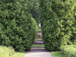 Green alley in the baroque park