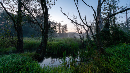 Podlasie - kraina magiczna © podlaski49
