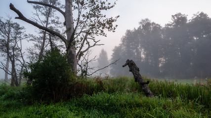 Podlasie – kraina magiczna. © podlaski49