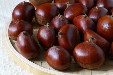 秋の味覚　栗