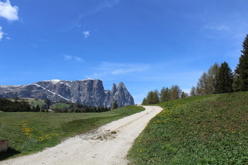 Seiser Alm