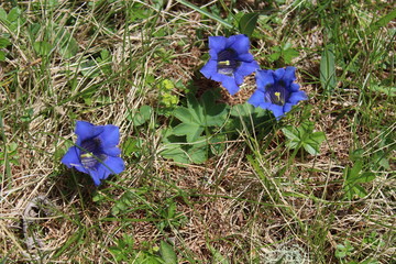 Gebirge