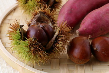 秋の味覚　栗　さつまいも