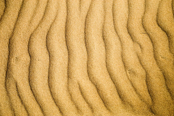 A photo of a beach sand texture