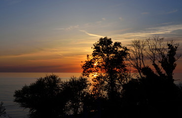 Sunset over the sea. The sun illuminates the crown of the tree. Sky with diagonal clouds. Silhouette of trees. Horizon