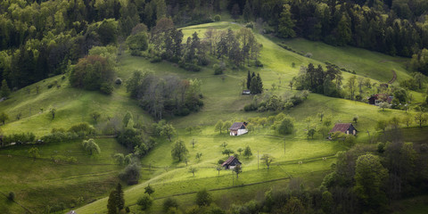 Paysage suisse