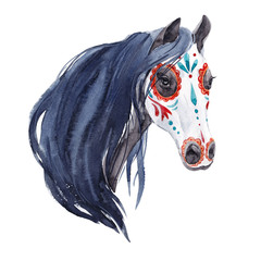 Watercolor horse portrait © zenina