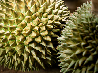 Naklejka na ściany i meble The Durians Fruit