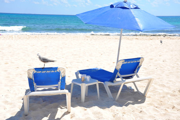 Fototapeta na wymiar Beach chairs an umbrella on the white sand beach