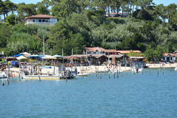 Lège-Cap-Ferret - L'Herbe