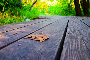 wooden track