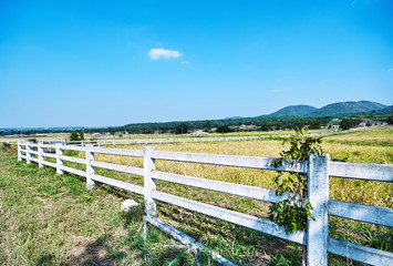 Fototapeta na wymiar White fence of ranch farmhouse idyllic rural scenery landscape