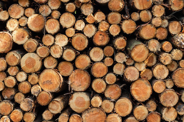 Wooden log pile pattern